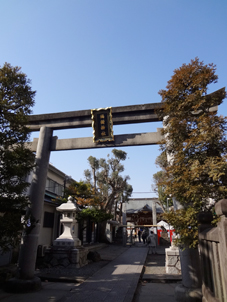 橘樹神社.jpg